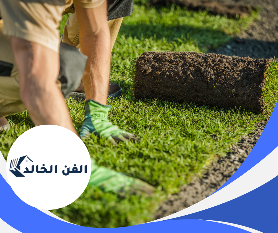 تركيب عشب طبيعي